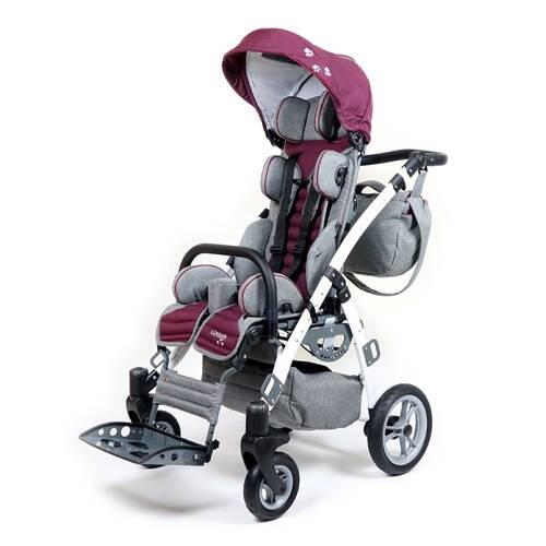 Mywam Grizzly Engelli Çocuk Puseti - 8