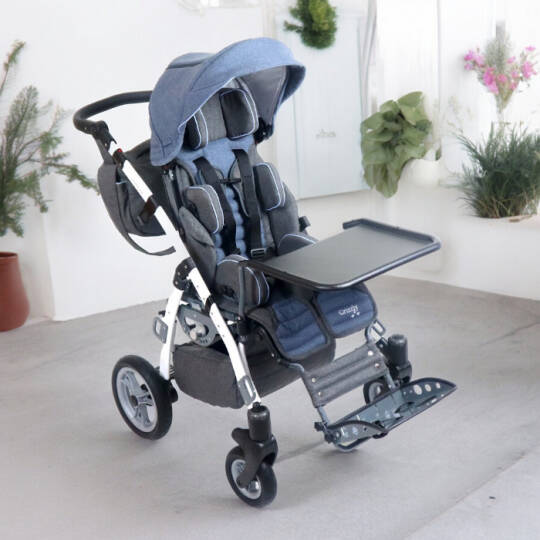 Mywam Grizzly Engelli Puseti Ful Aksesuarlı - 2