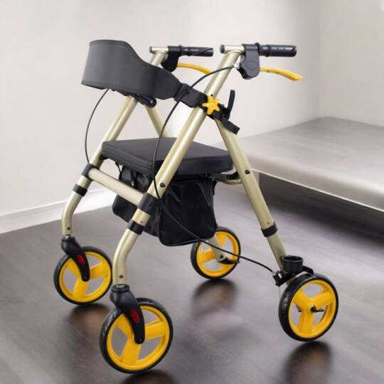 Poylin P581 Ekonomik Rollatör